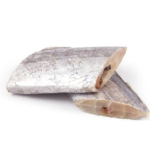 Peixe-espada branco