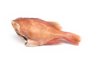 Red fish