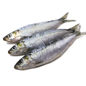Sardinha