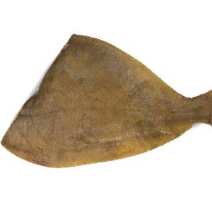 Solha